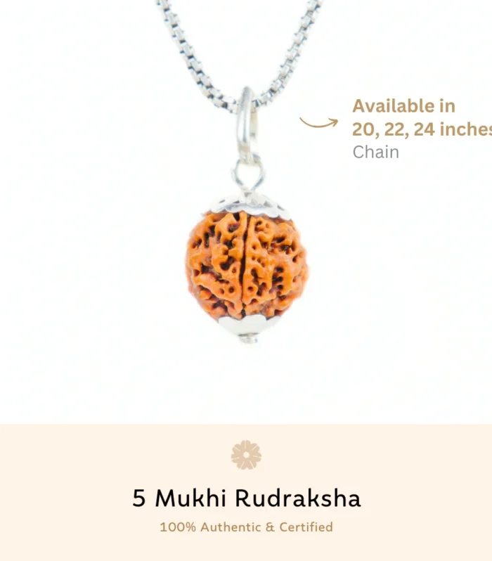 5 Mukhi Rudraksha Silver Capping Pendant ( Nepali )